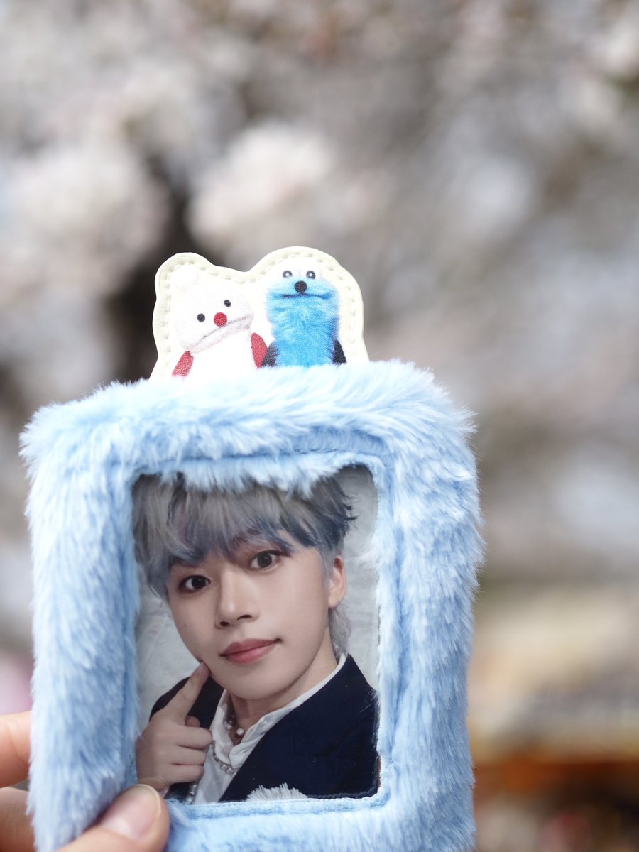 かすみそう tweet media