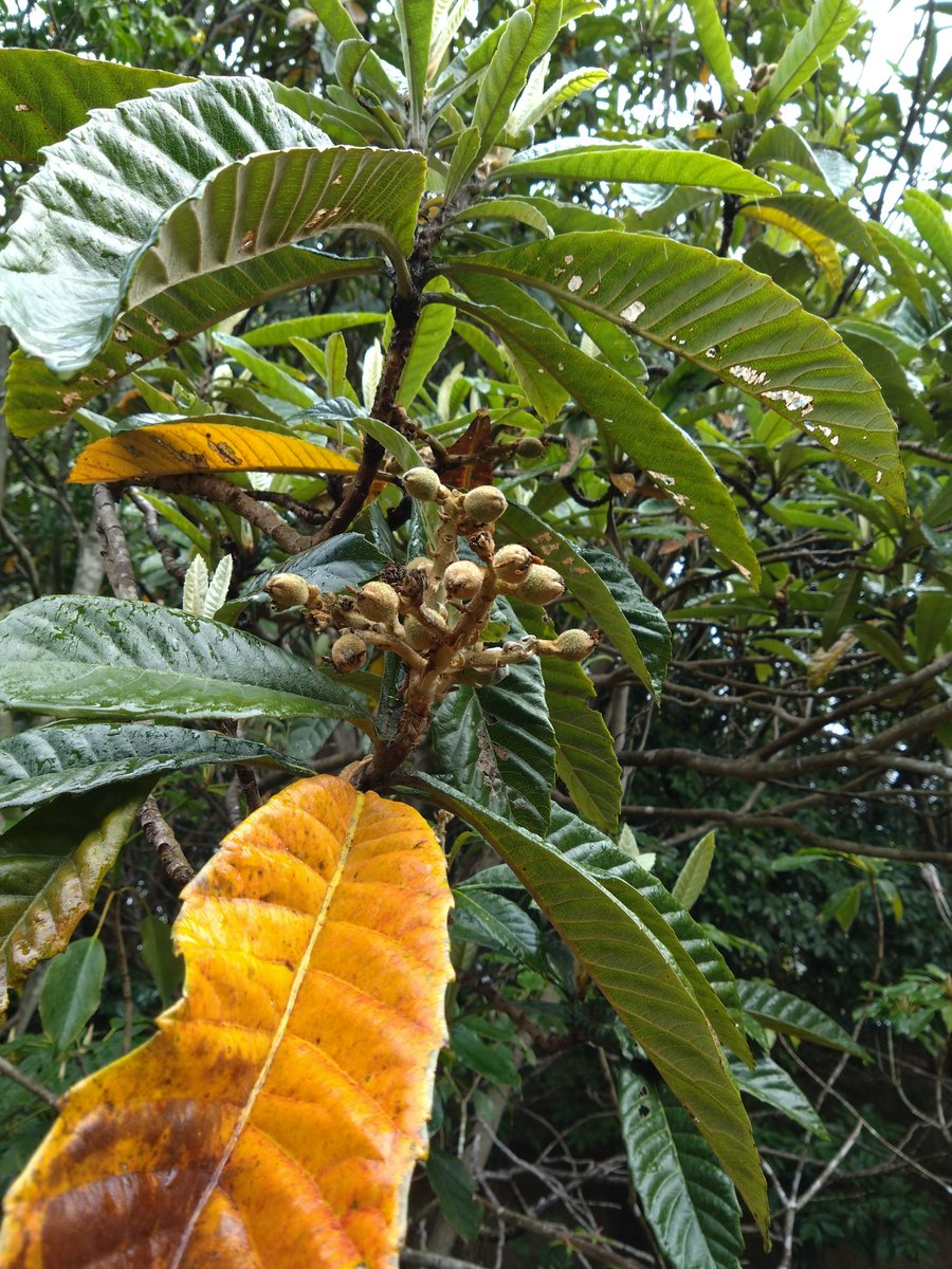 空🌈sora tweet media