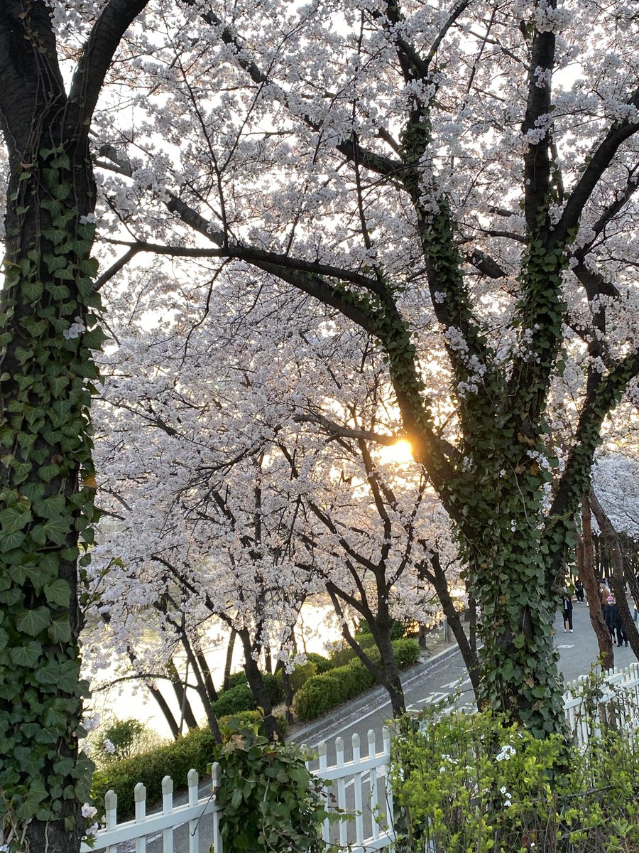 열아홉₁₉₉₉ tweet media