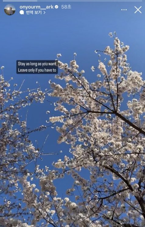 열아홉₁₉₉₉ tweet media