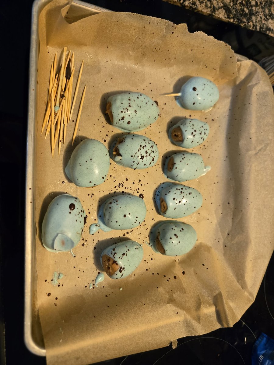 ValorX | VTuber 🐦🔥✨ tweet media