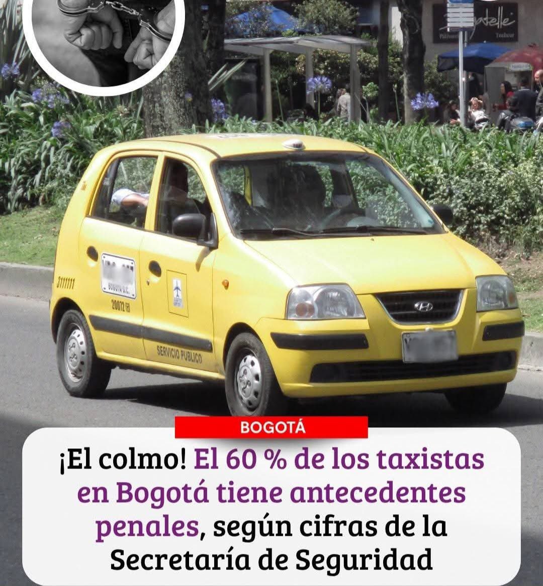 Alejandra tweet media