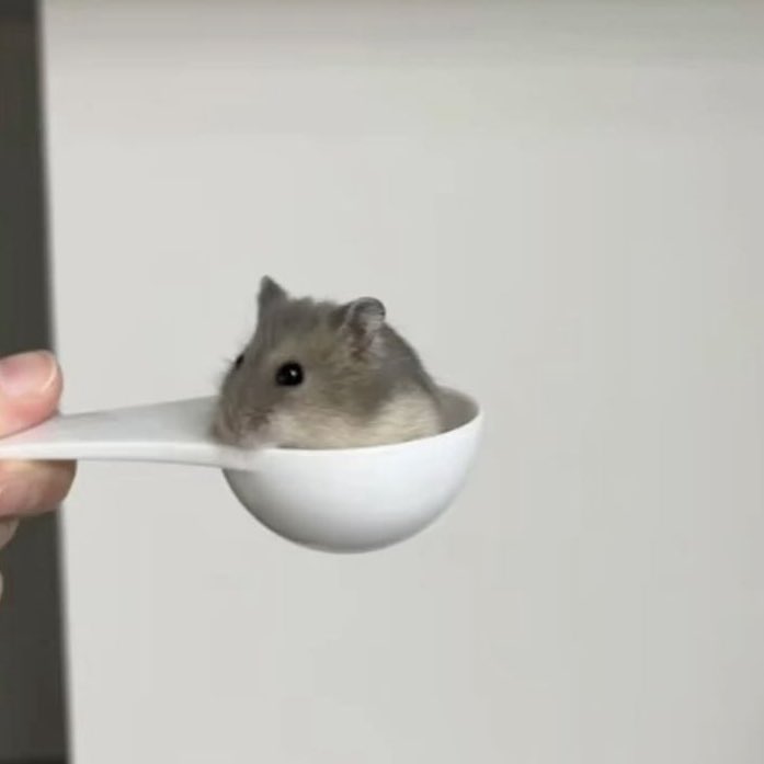 hsimissuuu tweet media