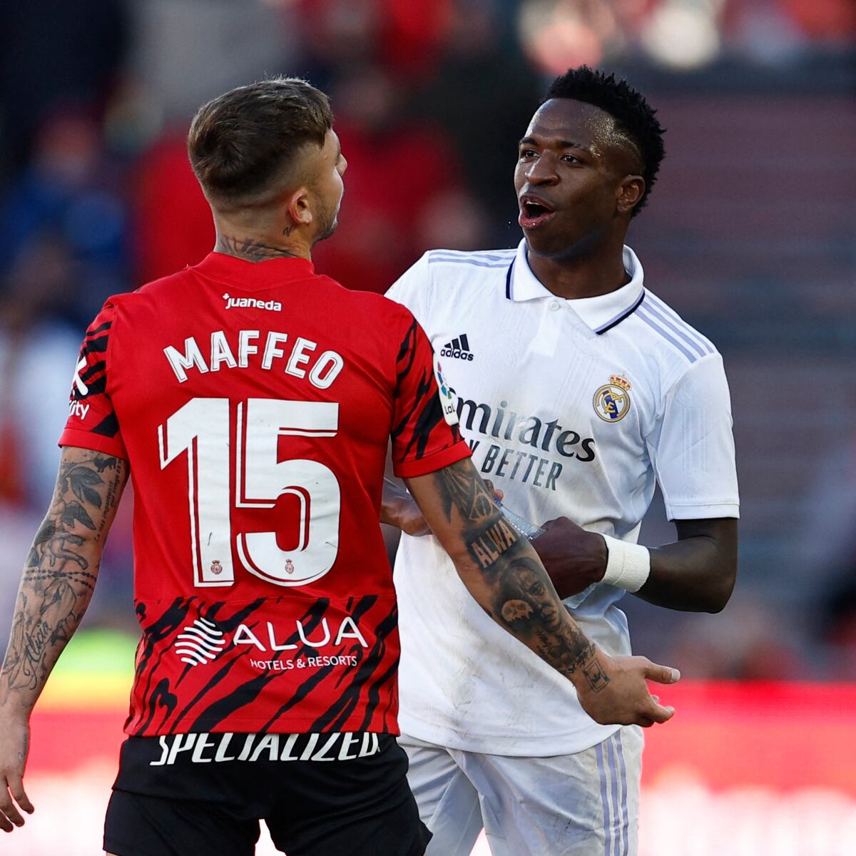 FerElTomateAzul 🦇🇪🇦 tweet media