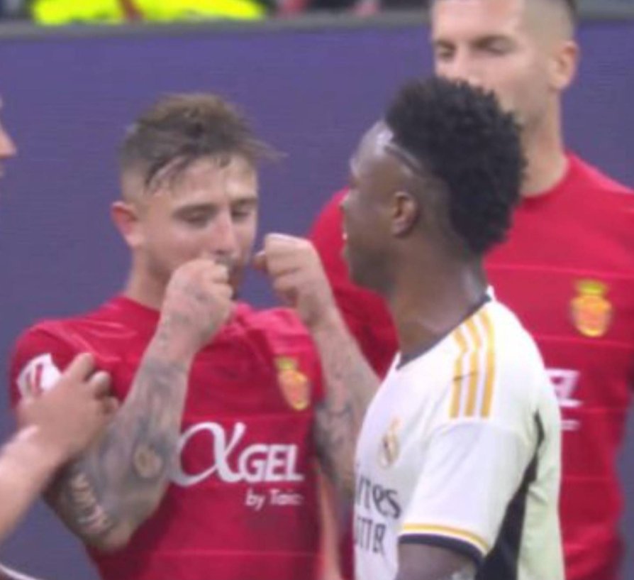 FerElTomateAzul 🦇🇪🇦 tweet media