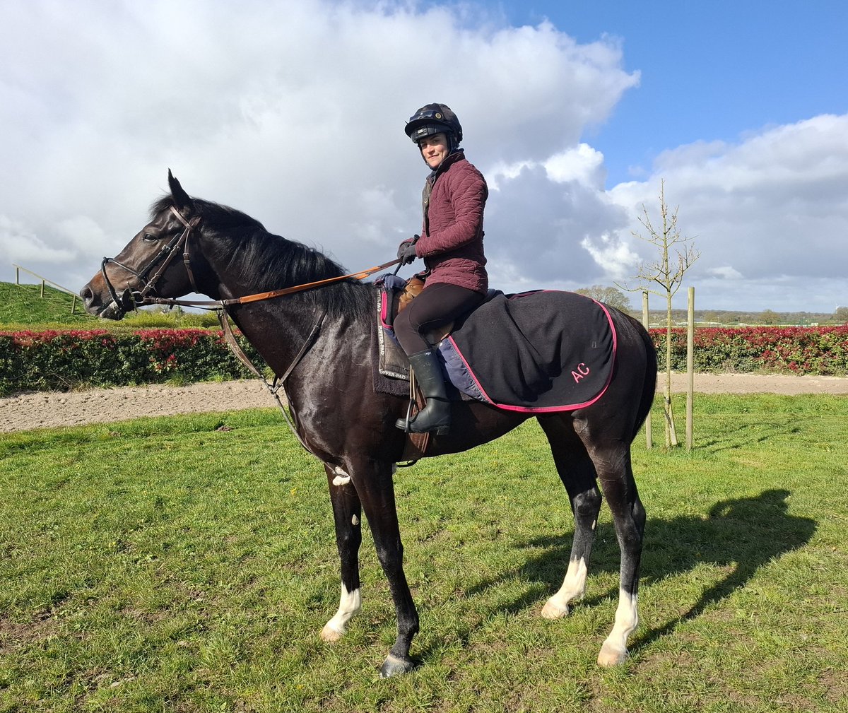 CouetRacingClub's tweet photo. Le 3ème poulain proposé est Val sun, élevé par Alain.
Fils de FlintShire #harasdemontaigu et une fille d'Anabaa issue d’une souche #Agakhan  / Lagardère. 
Ce pur-sang de 3 ans présente un physique assez exceptionnel. Il devrait débuter en compétition au mois de mai. https://t.co/TMpap7wejU