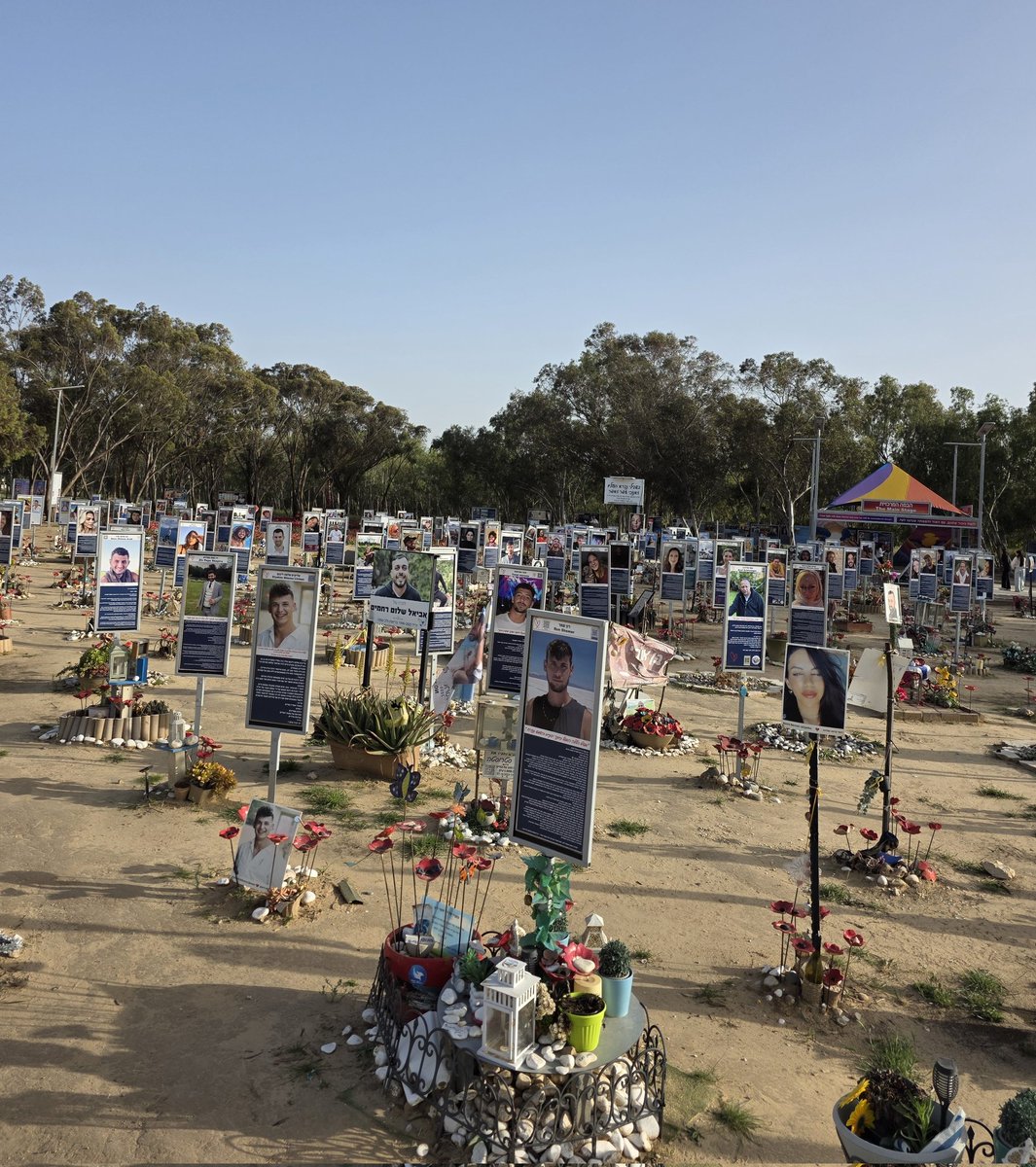 עוז חיים Oz Haim tweet media