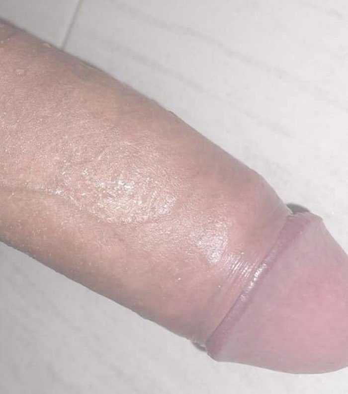 Alex🇮🇷 tweet media