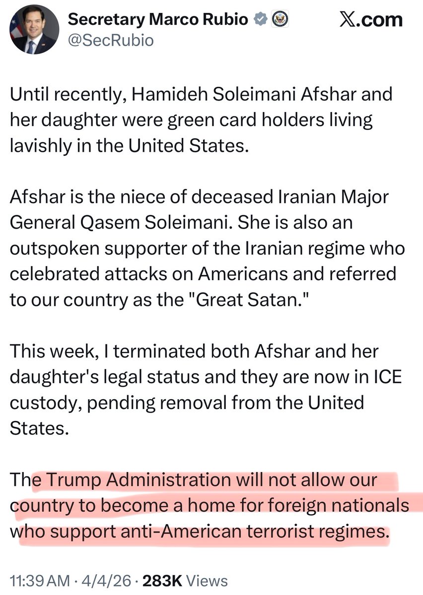 Marina Medvin 🇺🇸 tweet media