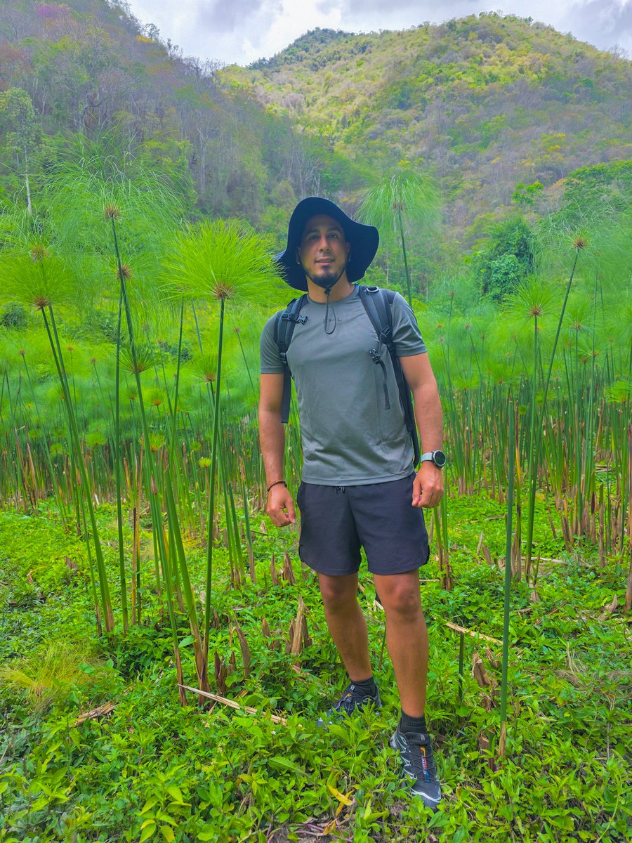 Enrique Palma tweet media