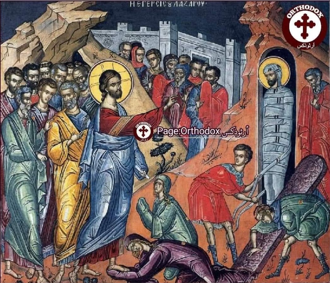 Antoun Abou Haiidar | أنطون أبو حيدر tweet media