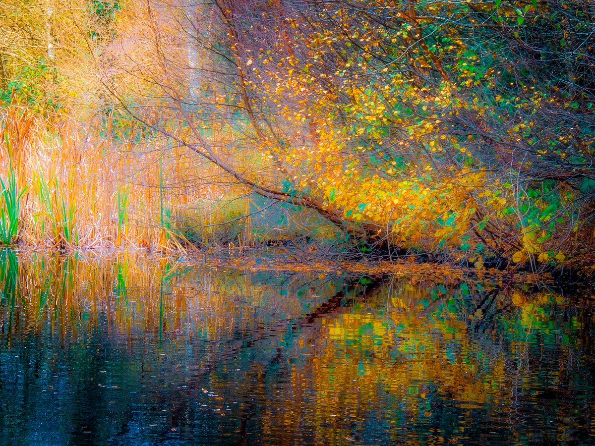 James A. Truett | Artist tweet media