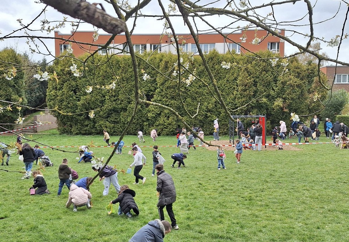 CitesAns's tweet photo. 🐣🌷 Chasse aux œufs réussie à la cité Al’Trappe à Alleur !

Près de 150 enfants réunis pour une belle chasse au trésor chocolatée, sous le soleil ☀️

Des sourires, du partage et une belle ambiance de quartier 🤝
Merci à tous les bénévoles et aux Gardiens de la Paix !

#Alleur https://t.co/1ZQKINJ6Ti