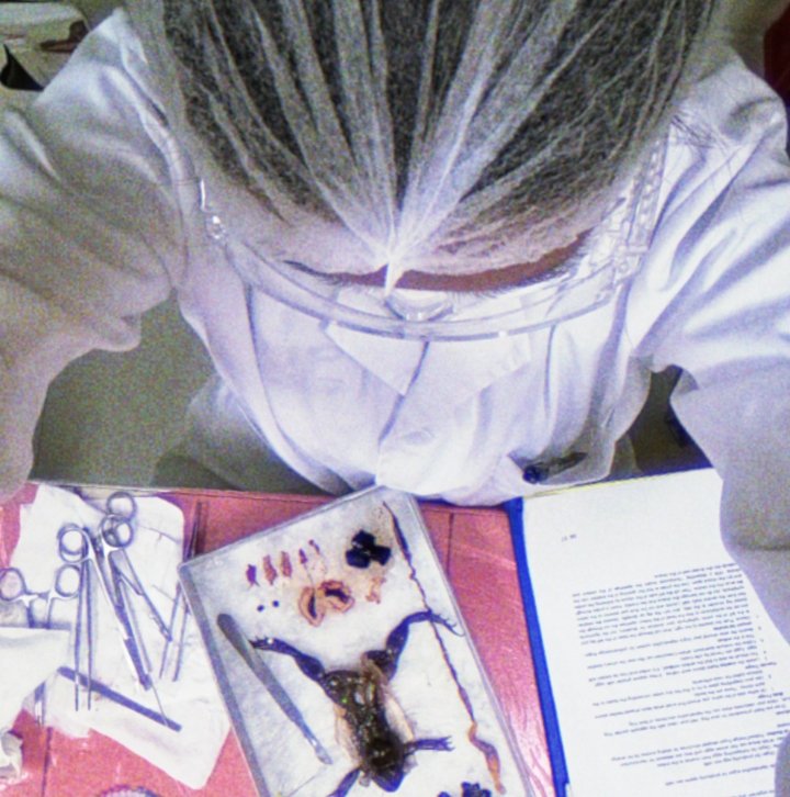 yoomki_📚🌱 tweet media