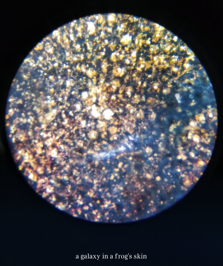 yoomki_📚🌱 tweet media