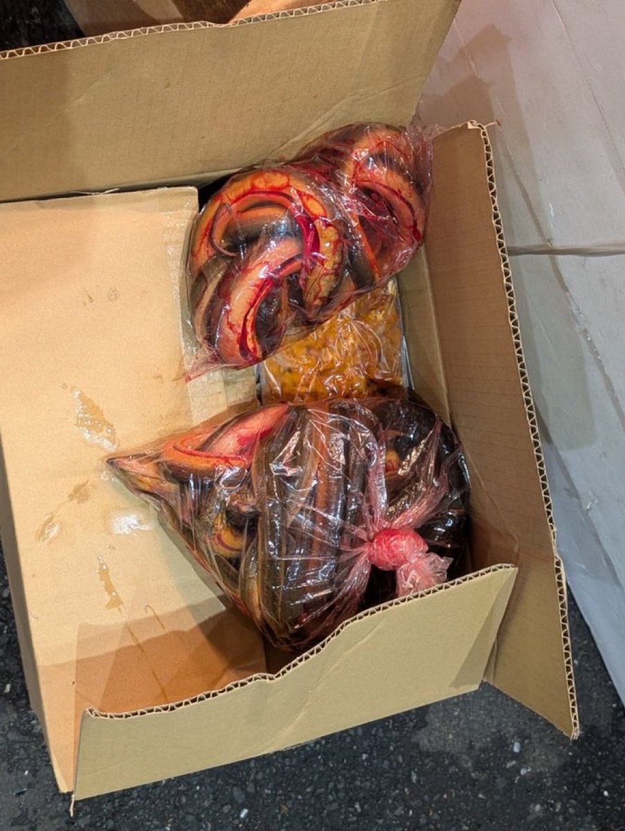 linda🩸 tweet media