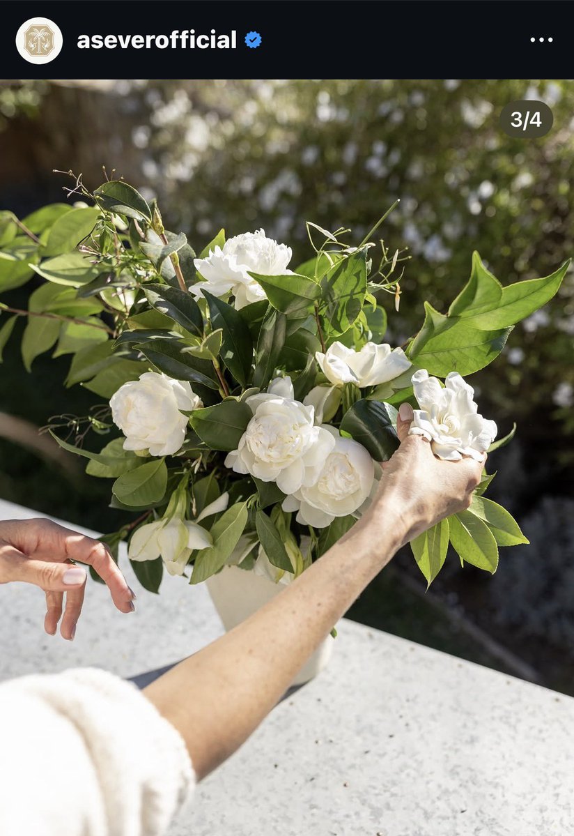 Princess CarParkle 👑 tweet media