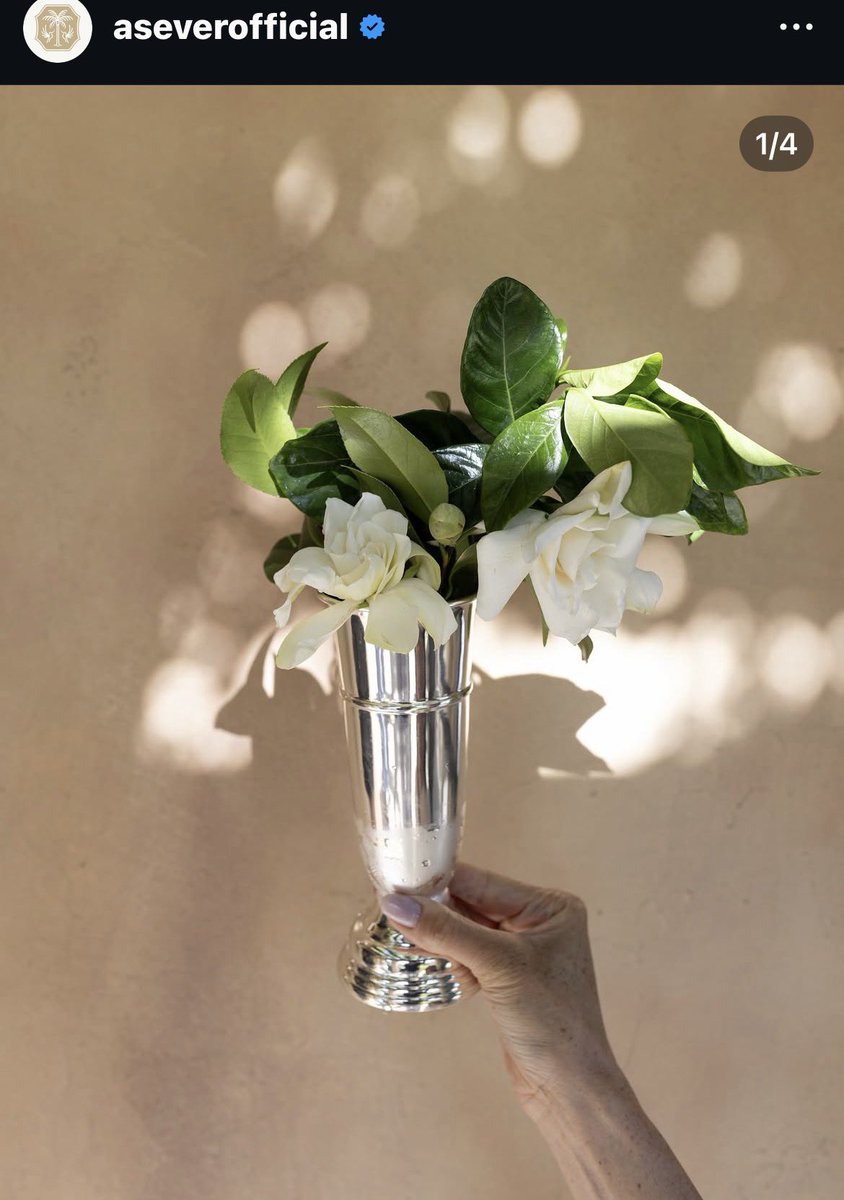 Princess CarParkle 👑 tweet media