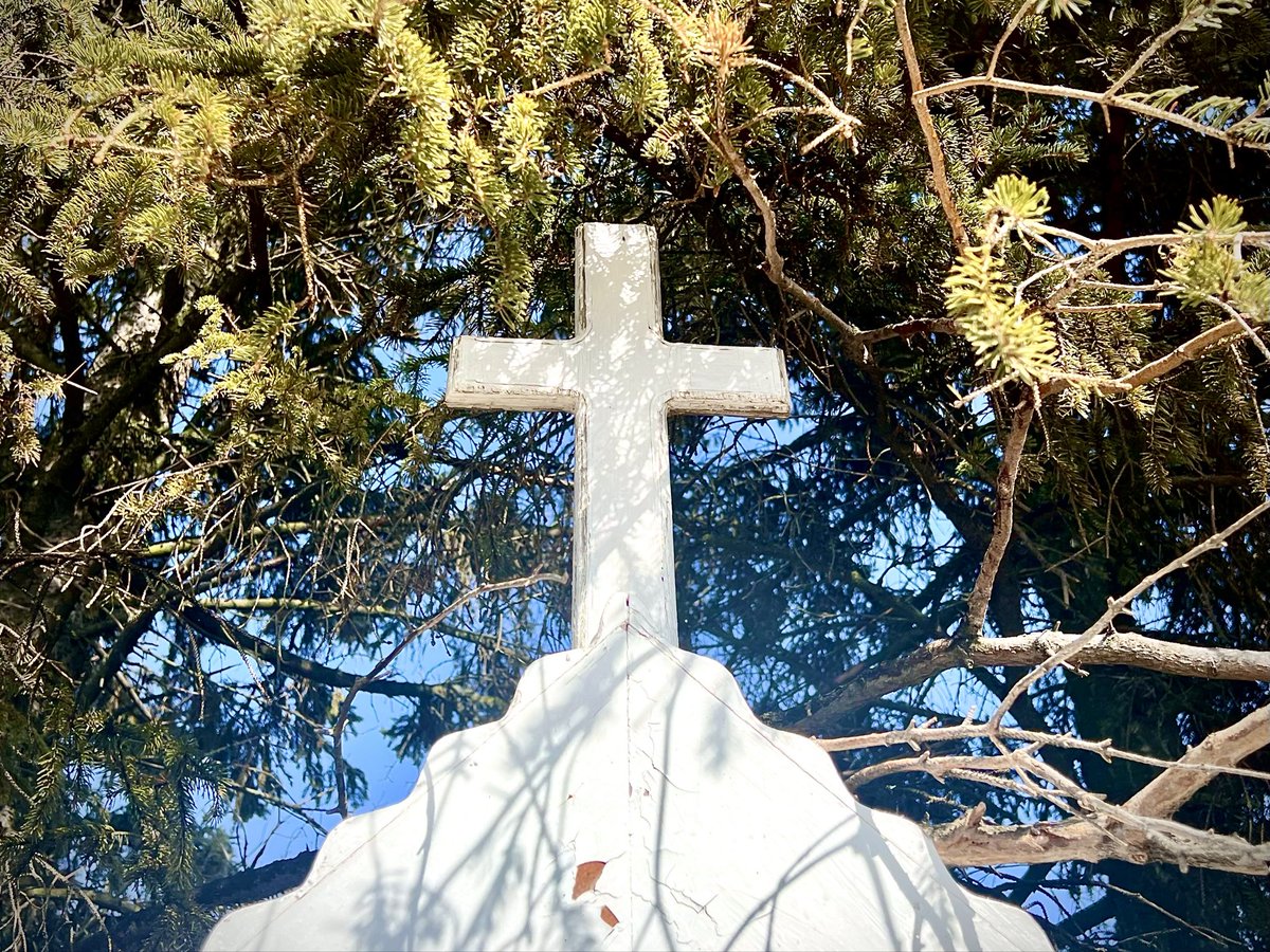7 Jars of Hot Pickled Peppers 🇨🇦 tweet media
