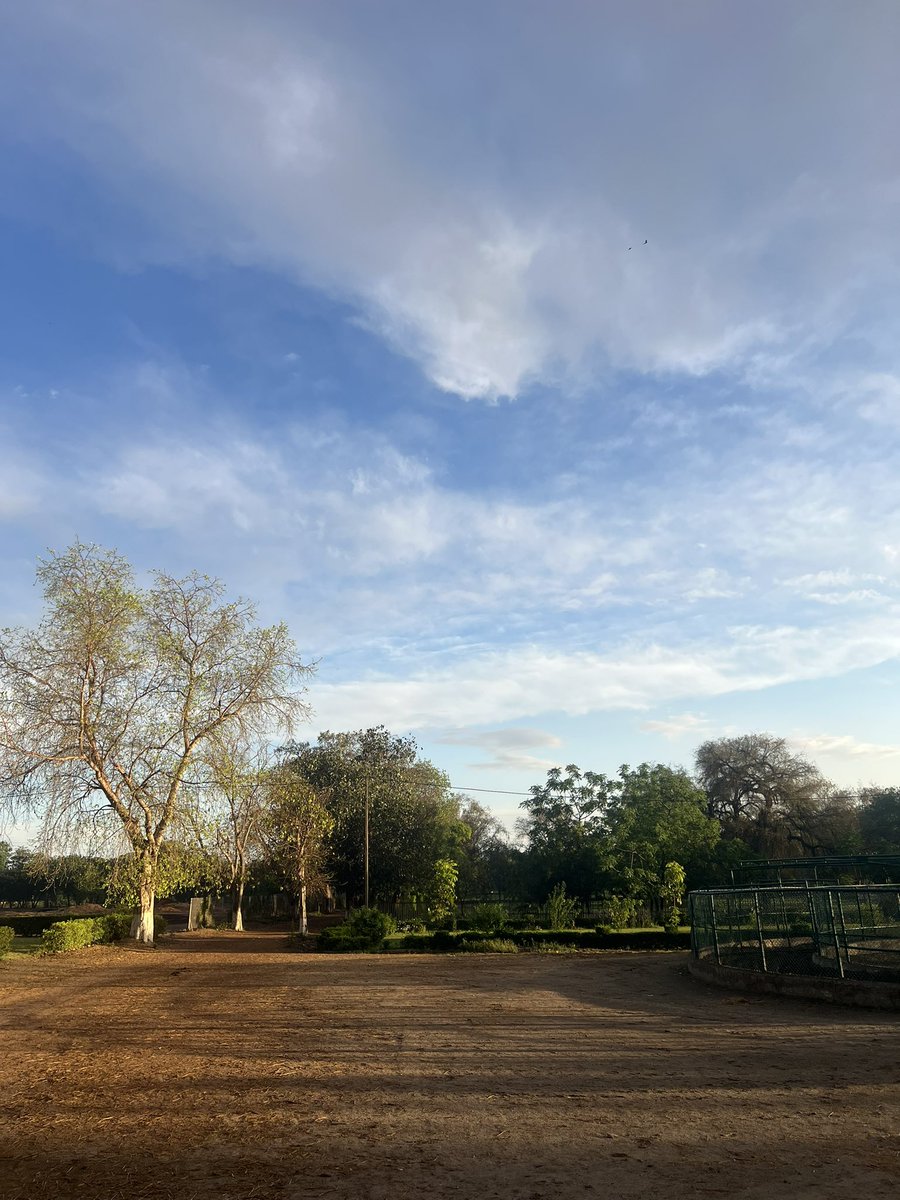 #Punjab 﫶 https://t.co/iuyTkNopQj