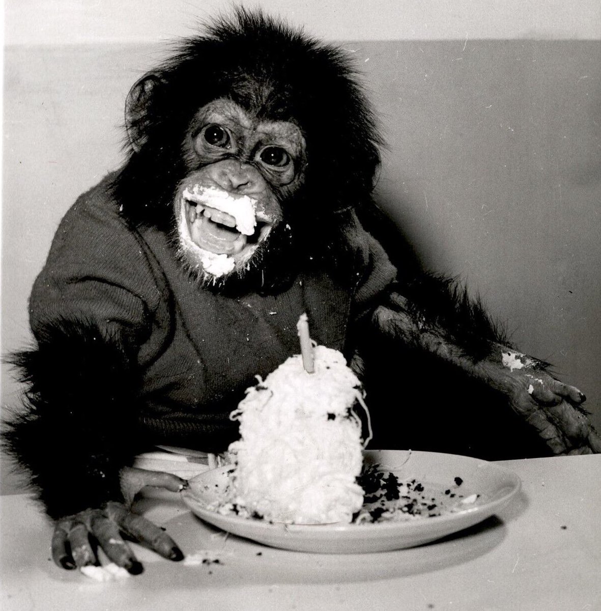 Tim Sprouls tweet media