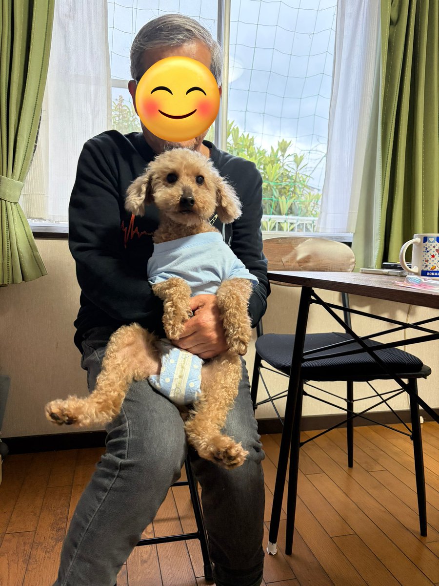 ぱん田うさぎ tweet media