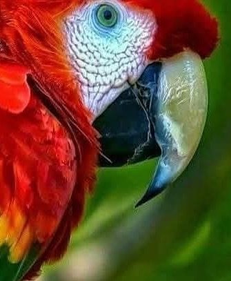 damlasukaya06's tweet image. #Tefekkür ;

#Allah'ın sanatı ve yarattıkları hakkında düşünmek,

 mucizelerini ve sınırsız #kusursuz yaratmasını düşünmek 

anlamak ve #hayret etmektir....

Zekayı açar...

İmam Şafi /rh.a./

#HayırlıAkşamlar 
#SubhânAllah 
#GazzeyiUnutma 
#Allahınsanatı