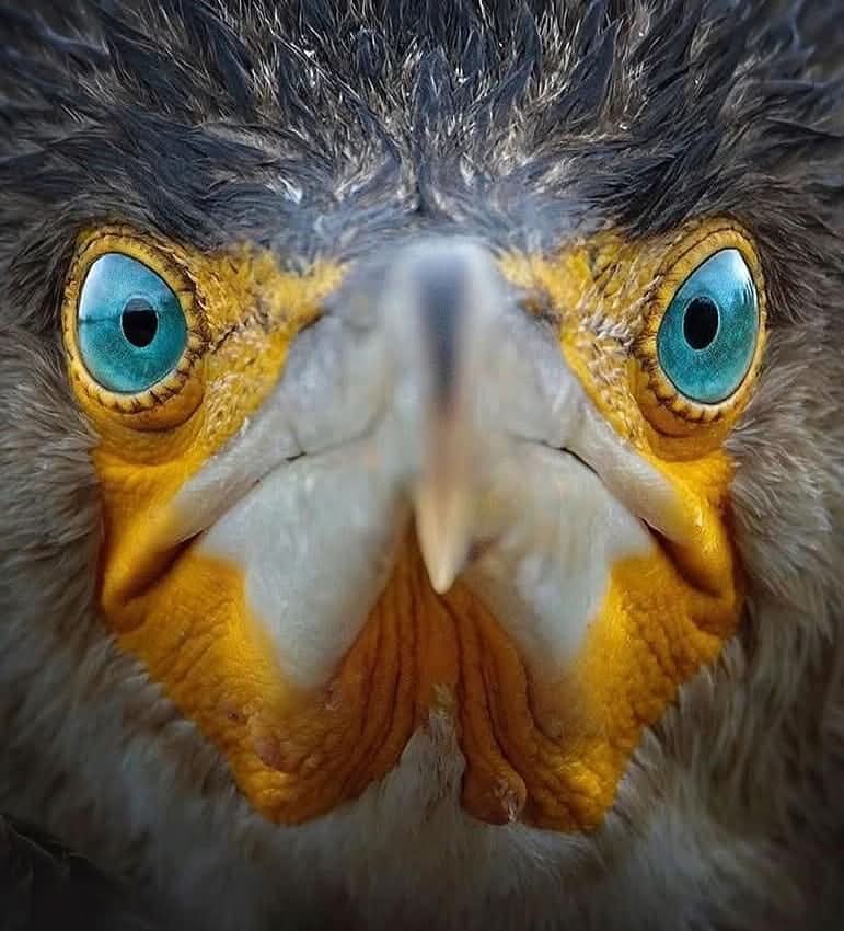 damlasukaya06's tweet image. #Tefekkür ;

#Allah'ın sanatı ve yarattıkları hakkında düşünmek,

 mucizelerini ve sınırsız #kusursuz yaratmasını düşünmek 

anlamak ve #hayret etmektir....

Zekayı açar...

İmam Şafi /rh.a./

#HayırlıAkşamlar 
#SubhânAllah 
#GazzeyiUnutma 
#Allahınsanatı