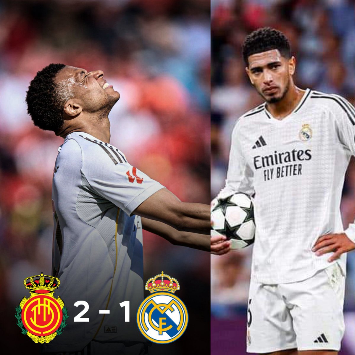 𝑳𝒂𝒎𝒂𝒓 tweet media