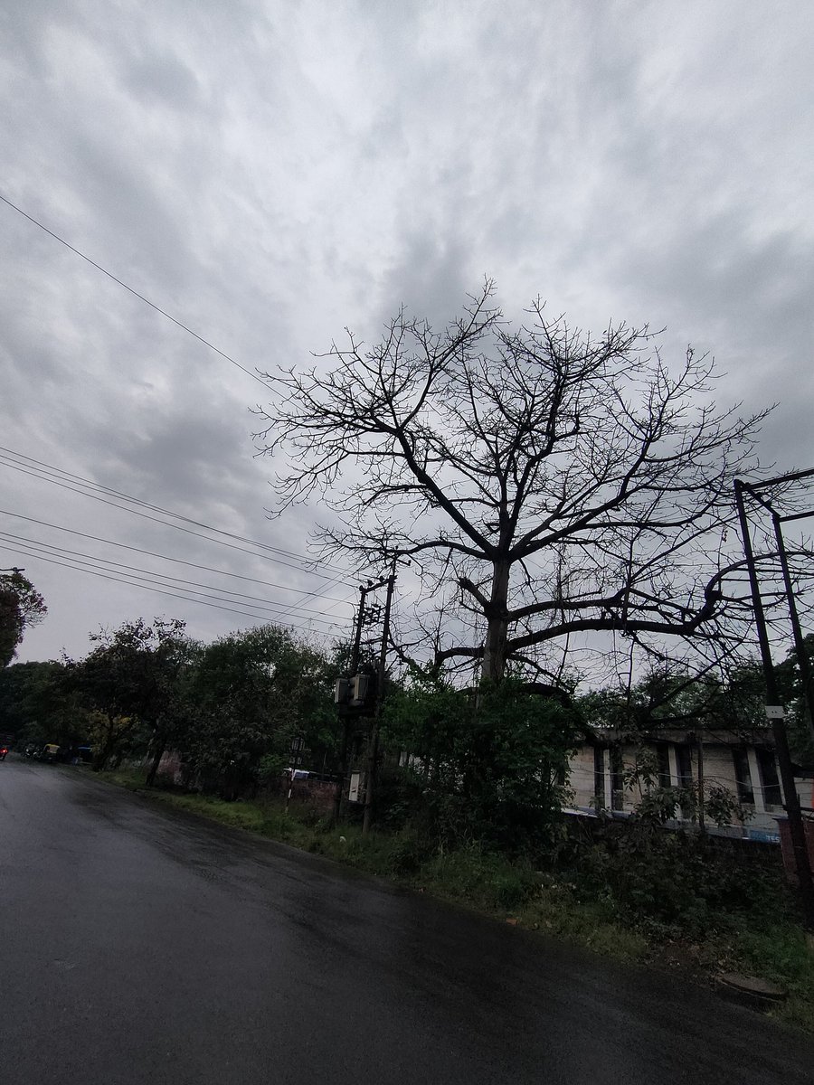 HitMaker tweet media