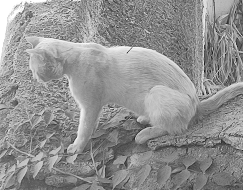 Panagiotis Bouganis tweet media