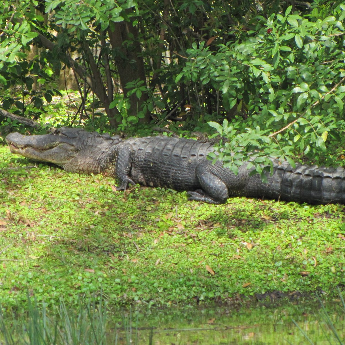 Crash Override tweet media