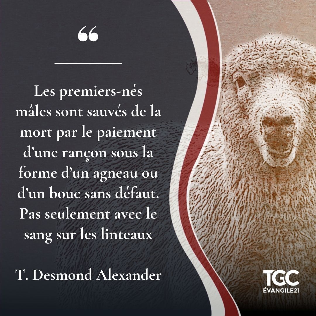 Évangile 21 tweet media