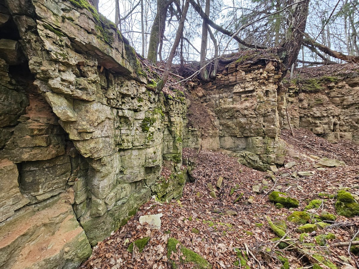 Martins Sitcs tweet media