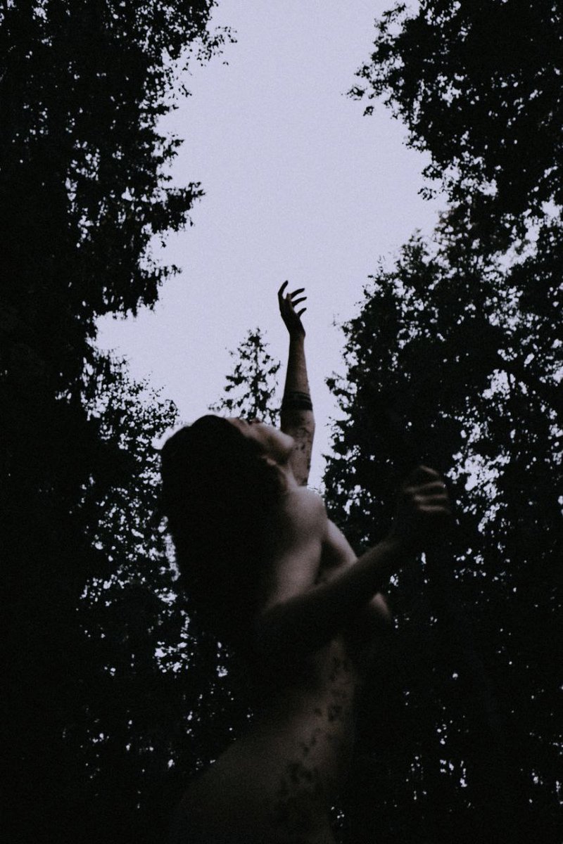 dasha zhuk tweet media