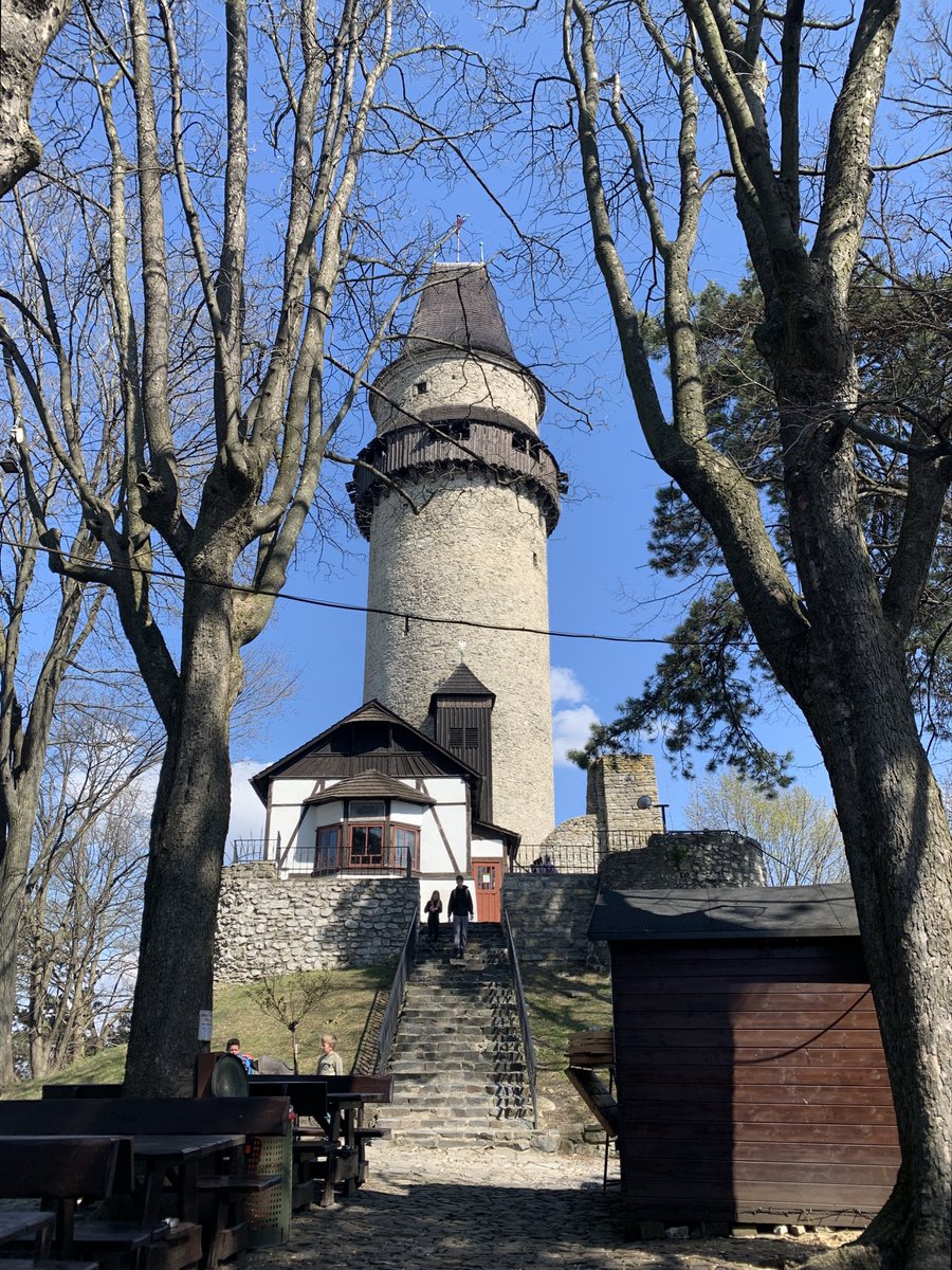 Stohanka 🇨🇿🇺🇦 tweet media