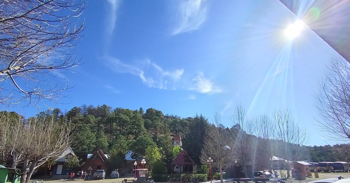 ♠️~Buck and Friends~♠️ tweet media