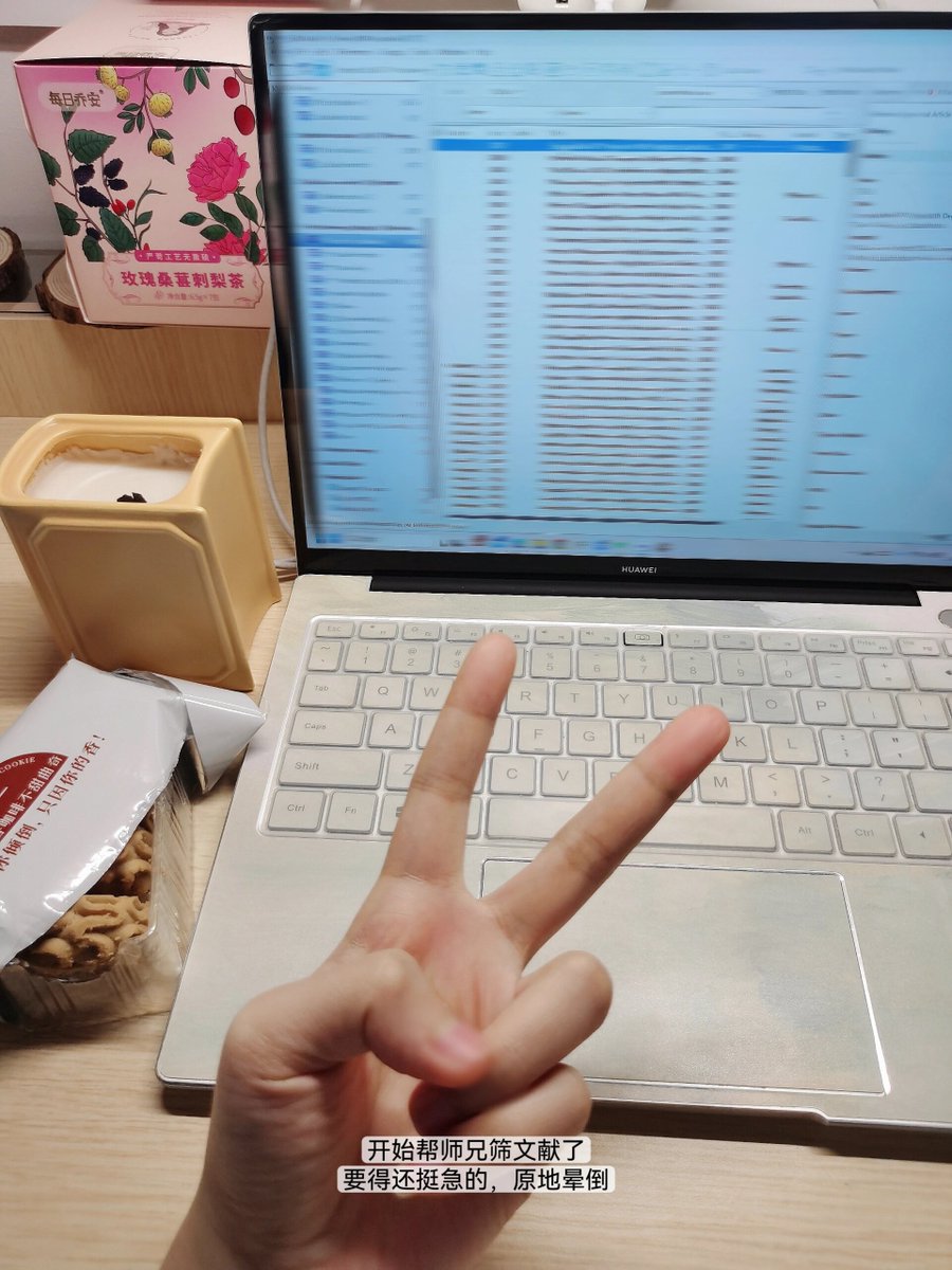 Madina Ibrahim tweet media