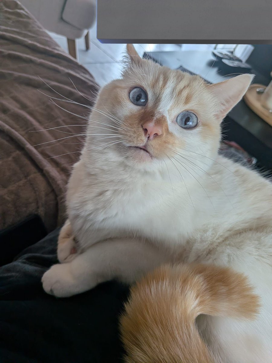 latte cœur lpb tweet media