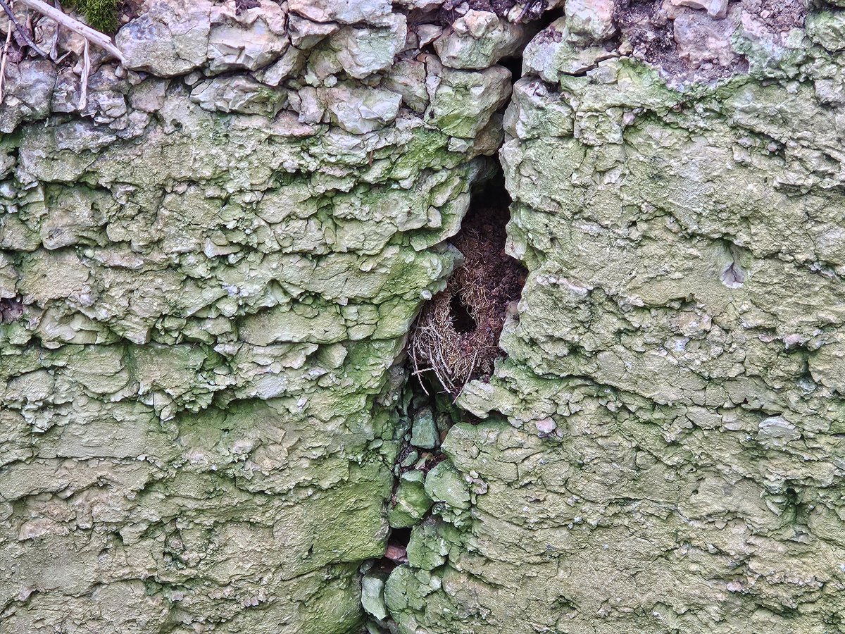 Martins Sitcs tweet media