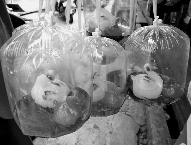 Kanra | Chrome tweet media