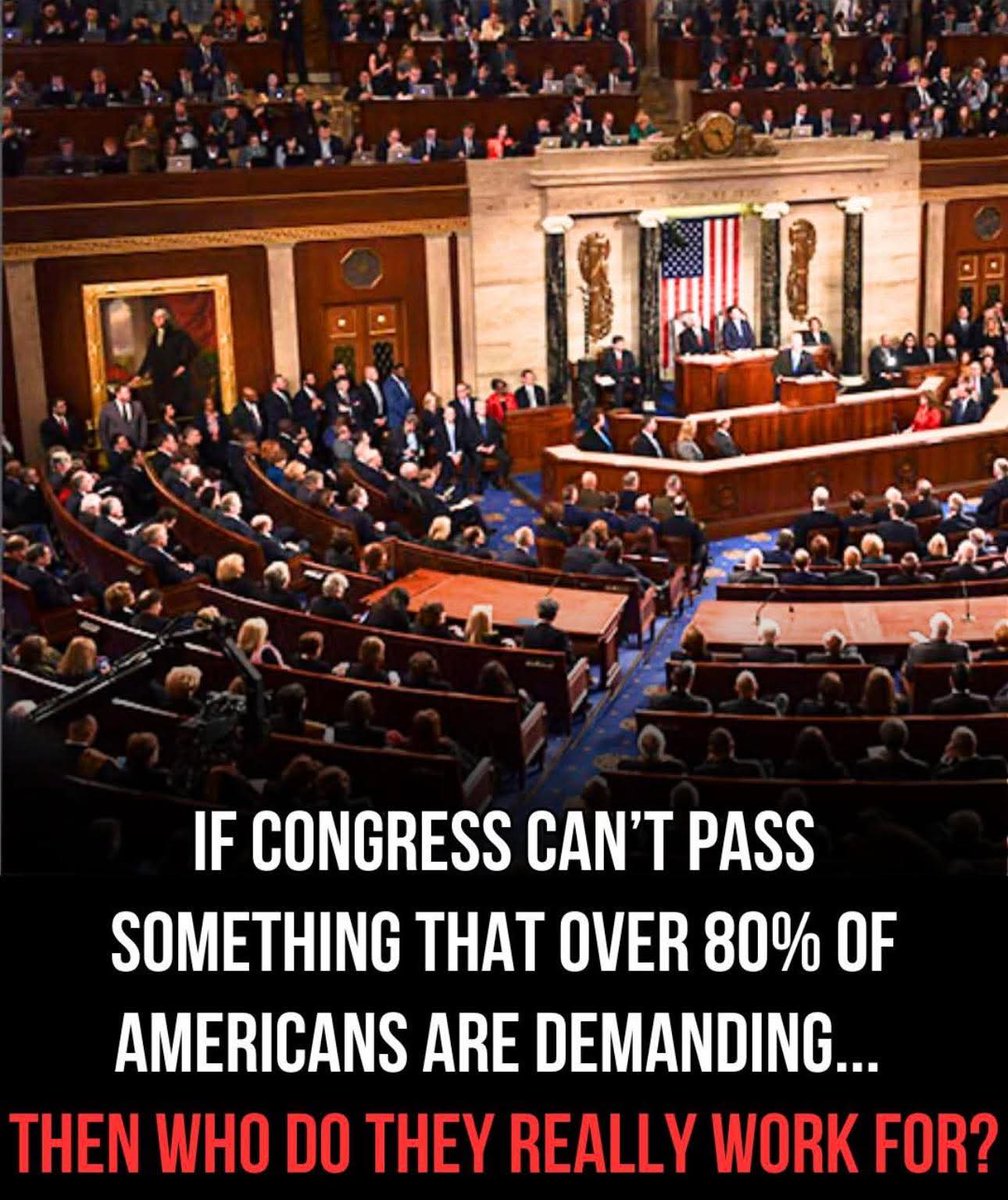 Sassafrass84 tweet media