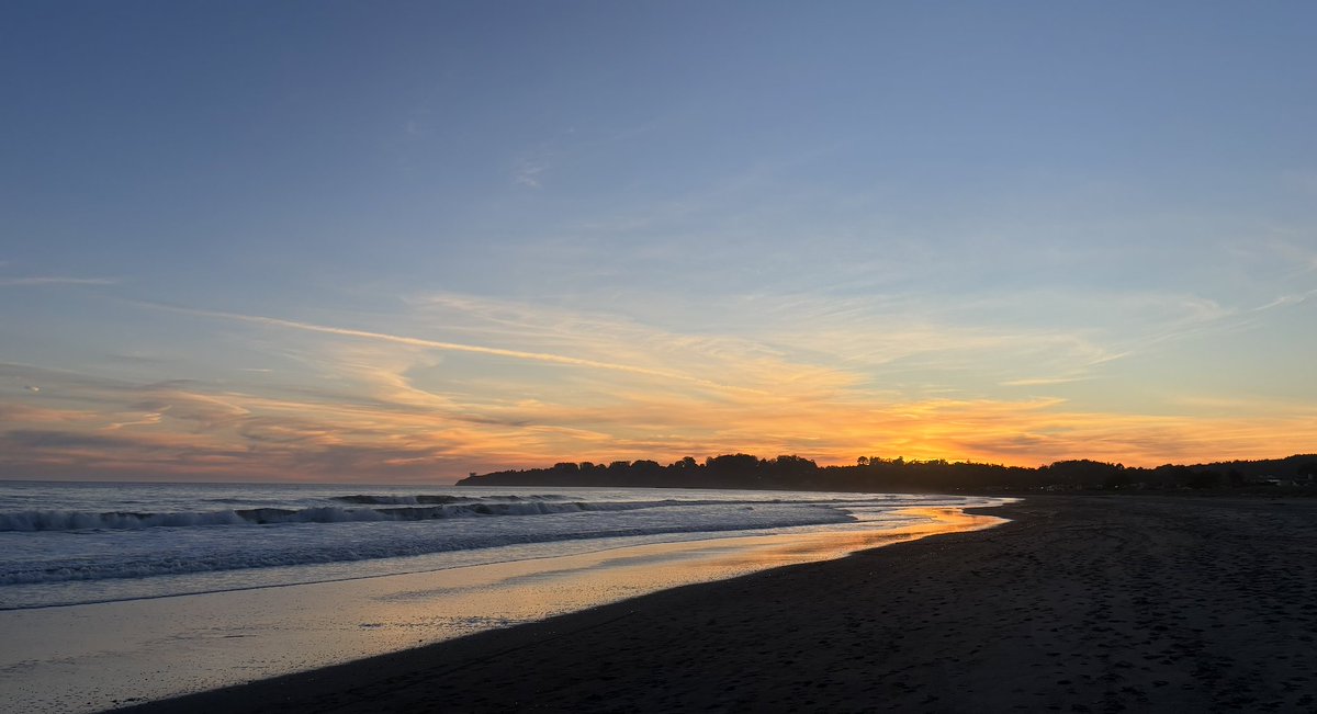 Streelman Lab tweet media