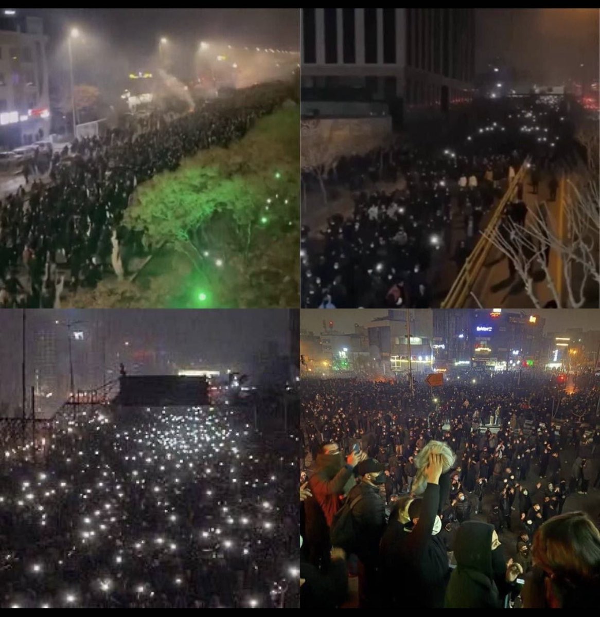 Mohi Scarani tweet media