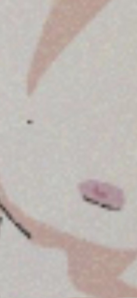 ✨+:𝐋𝐀𝐑𝐊:+✨ tweet media