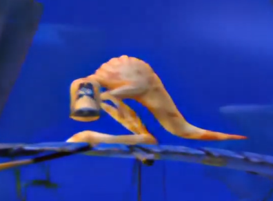 StarTank24's tweet photo. @sifyro Looks like the Bonton from the beginning of Rayman 3 https://t.co/huxgwv2TuH