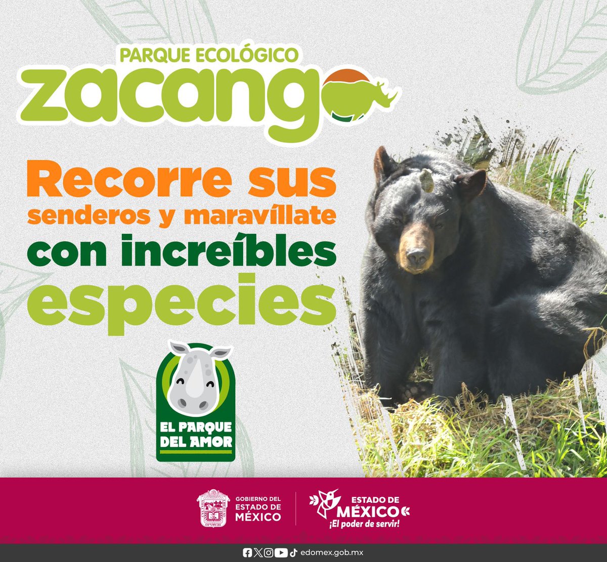 delfinagomeza's tweet photo. Este fin de semana, visita con toda tu familia el Parque Ecológico @zacangoedomex y vivan una experiencia única, disfrutando de la naturaleza y conviviendo con los animalitos que hay en este parque.
#ElPoderDeServir https://t.co/2CqJCcTtBC