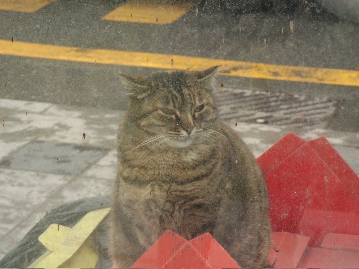 Halil Ekinci 🇹🇷🐺🚴♂️⛰️🦋♊🏹 tweet media