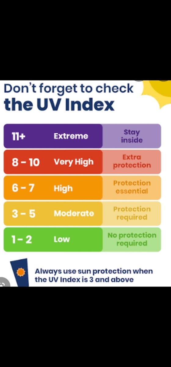RealityNotFiction tweet media