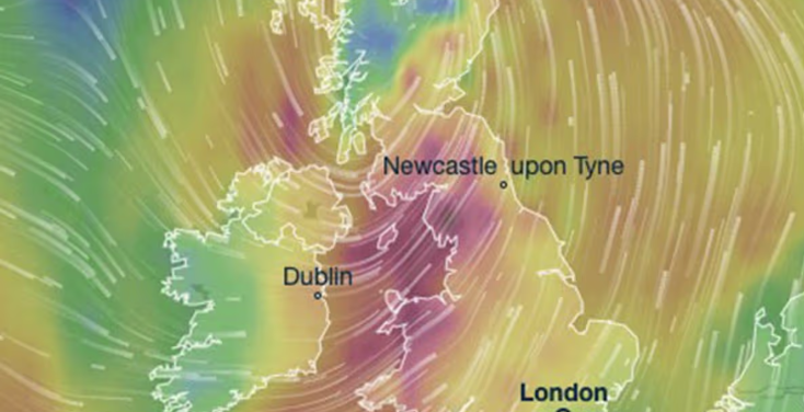 The Mirror tweet media